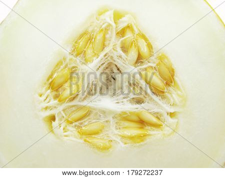 slice of honeymelon with seeds closeup fruit