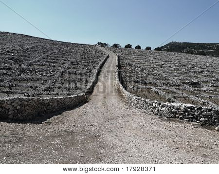 Denkmal der harte Arbeit - Weinberg in Stein