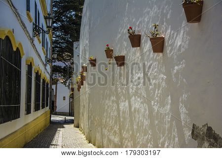 Flowerpots and Flowers on a white walll, Old European Town. Andalucia Spain.
