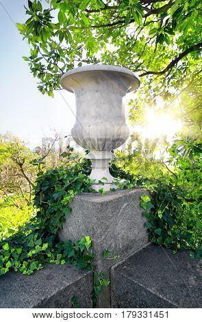 Stone flowerpot covered with ivy bush at sunlight