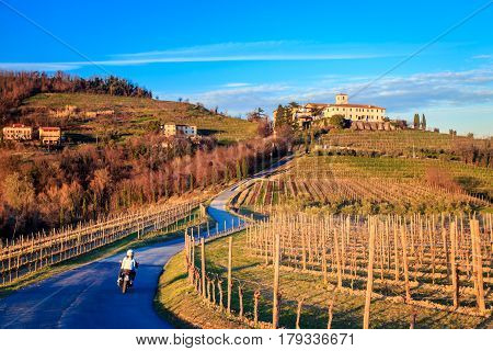 Sunset In The Vineyards Of Rosazzo