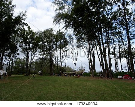 NORTH SHORE - FEBRUARY 19: Outdoor Yoga class among large ironwood trees at Optimysstique Campout 2017. February 19 2017 Oahu Hawaii.