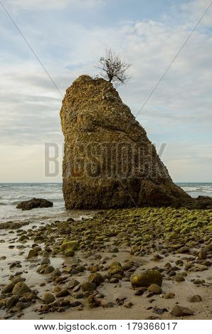 Beautiful green mossy at Batu Luang beach during sunset located at Kuala Penyu, Sabah, Malaysia
