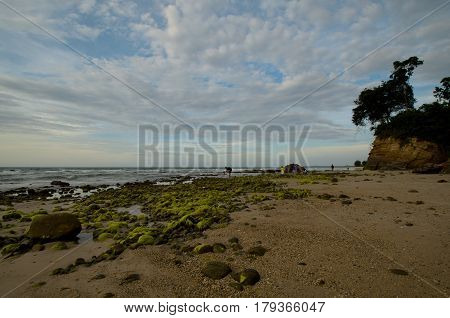 Beautiful green mossy at Batu Luang beach during sunset located at Kuala Penyu, Sabah, Malaysia