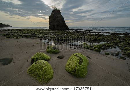 Beautiful green mossy at Batu Luang beach during sunset located at Kuala Penyu, Sabah, Malaysia