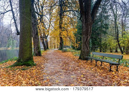 Beautiful autumn Lazienki Krolewskie Park, Warsaw, Poland.