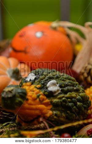 Colorful pumpkins as autumn decoration - faces