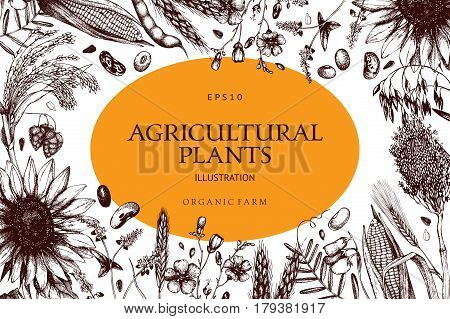 Vector design with ink hand drawn agricultural plants sketches. Vintage illustration with legumes, cereal crops, sunflower and flax.