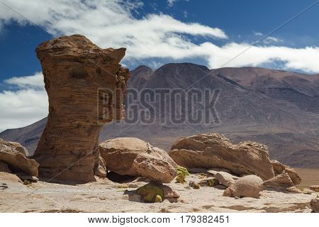 Rock formation at Laguna Turquin Altiplano Bolivia
