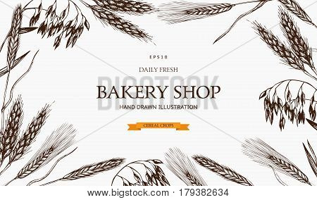Vector design with ink hand drawn agricultural plants sketches. Vintage illustration with legumes, cereal crops, sunflower and flax.