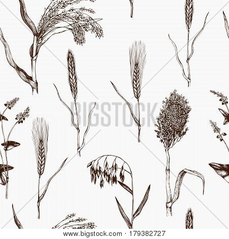 Vintage background with industrial crops illustration. Farm fresh and locally grown organic products illustration. Seamless