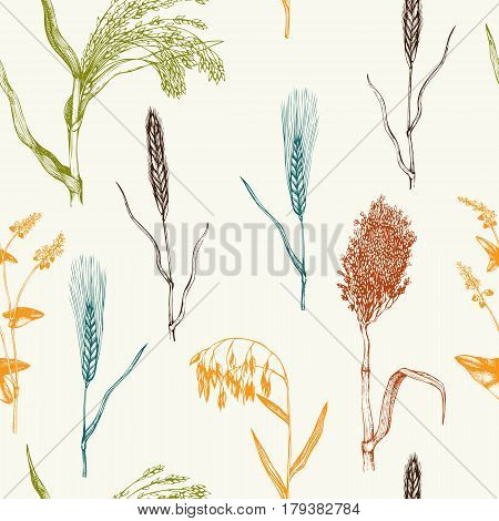 Vintage background with industrial crops illustration. Farm fresh and locally grown organic products illustration. Seamless