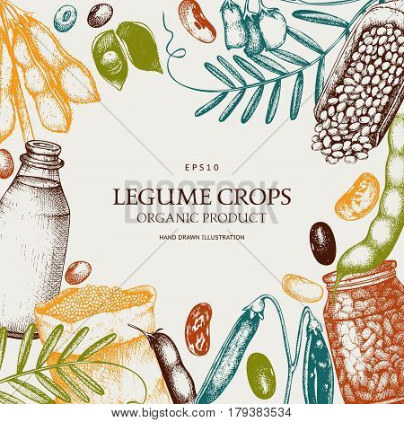 Vector design with ink hand drawn agricultural plants sketches. Vintage illustration with legumes, cereal crops, sunflower and flax.