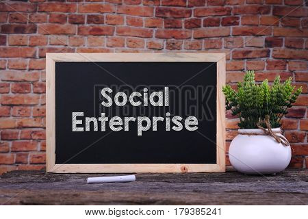 Social Enterprice Word On Blackboard With Green Plant.
