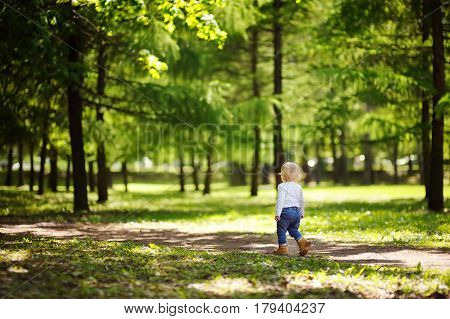 Toddler Boy Walking In The Park