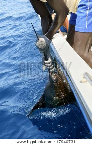 คนแอฟริกาถือ sailfish บนเรือประมงกีฬาในแอตแลนติกเค็ม