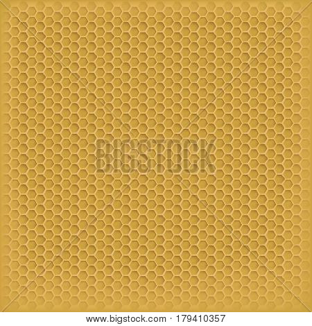 vector honey in the comb. the background image for your design