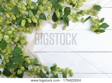 Border from green hop branches on light rustic wooden background. Concept of beer production. Mock up for beer presentation. Brewing.Herbal medicine.