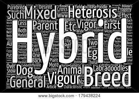 The Right Logo text background word cloud concept