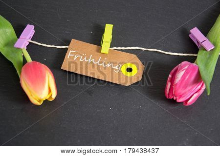 Frühling - german for spring- written on a paper tag