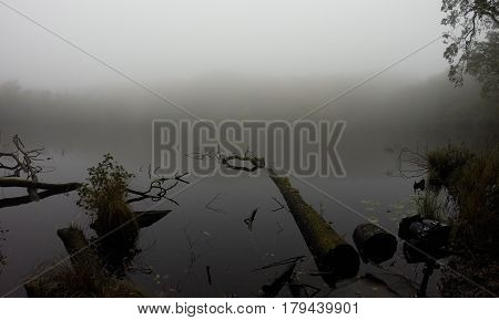 A Foggy lake by Mecklenburg-Vorpommern in autumn