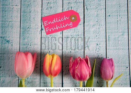Frühling - german for spring- written on a paper tag