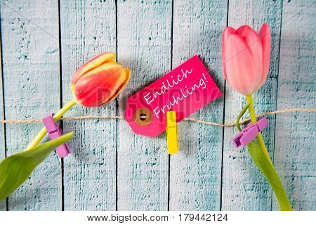 Frühling - german for spring- written on a paper tag
