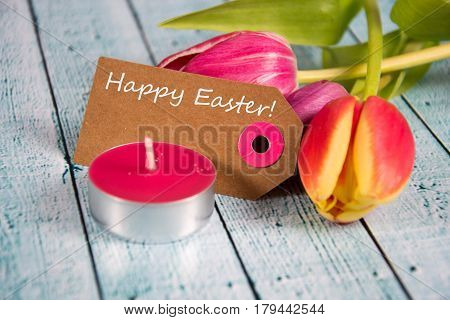a colourful easter background with beauitiful tulips