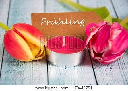 Frühling - german for spring- written on a paper tag