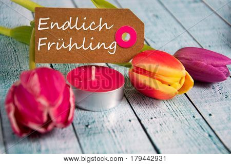 Frühling - The German Word For Spring
