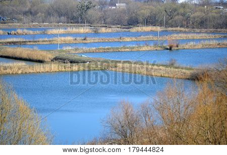 Fish farm rates. Artificially created lakes for fish breeding. Ukraine