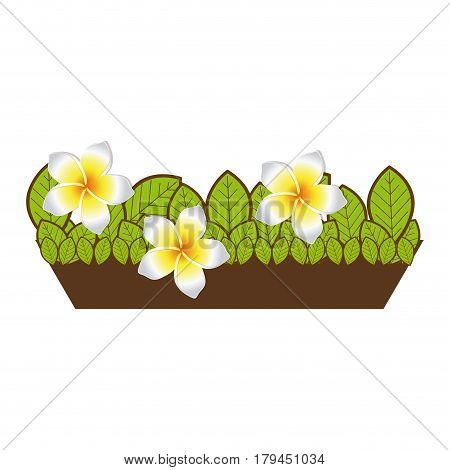 colorful garden flower plantpot decorative vector illustration