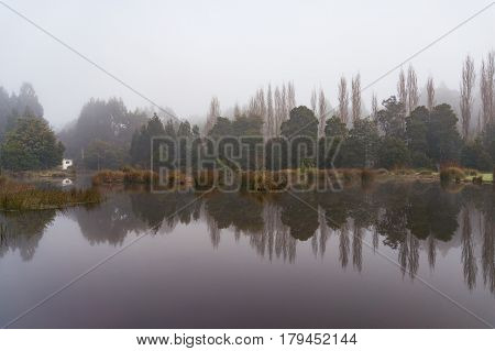 Serene Landscape Of Forest Lake