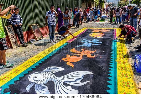 Antigua, Guatemala - March 26 2017: Locals make dyed sawdust procession carpets during Lent in colonial town with most famous Holy Week celebrations in Latin America.
