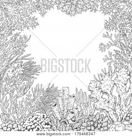Hand drawn underwater natural elements. Sketch of reef corals background. Monochrome frame with space for text. Black and white illustration coloring page.