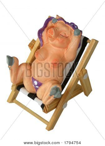Varken op een strand