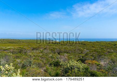 Panorama Landscape Of Green Bushland And Ocean On The Horizon