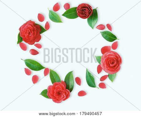 Frame of red Camellia flowers leaves and red petals on light cyan background. Flat lay top view. Frame of spring flowers. Isoleted. Camellia brooch sticker patch