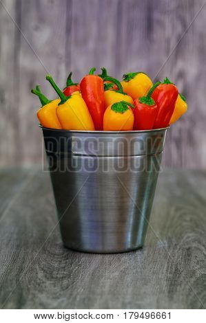 red green yellow peppers in a bucket assorted peppers and chilies in a metal bucket with water droplets Vertical format