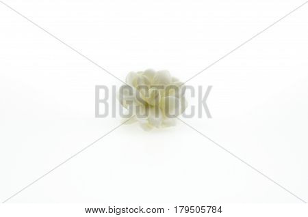 Jasminum sambac flower Isolated on White Background