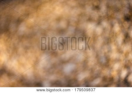 Bright orange brown spotty sunlit background with unusual vintage swirly bokeh