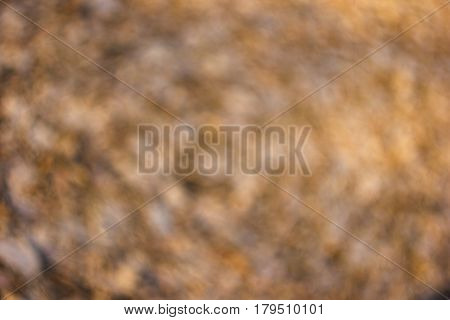 Bright orange brown spotty sunlit background with unusual vintage swirly bokeh