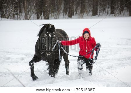 Woman and crow horse in winter meadow walking on a lunge. Horizontal outdoors shot.