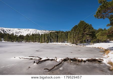 Winter Landscape Of Frozen Lagoon In Neila Lagoons Park In Burgos Demanda Mountain Range Castilla Y 