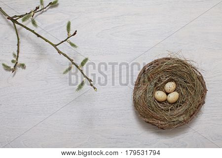 Spring flowers and colorful easter eggs frame.