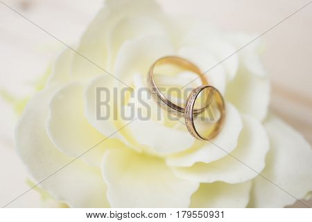 Wedding rings on a flower on a wood background