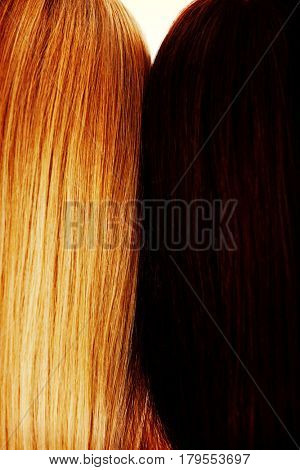 Long hair. Hairstyle. Hair salon. Woman with healthy hair.
