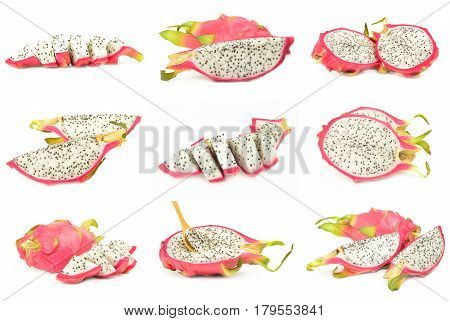 Collage of stenocereus isolated over a white background