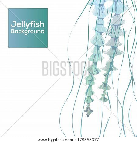 Background with detailed transparent jellyfish. Sea jelly on blue background. Useful for banners, broshures, covers. Vector illustration