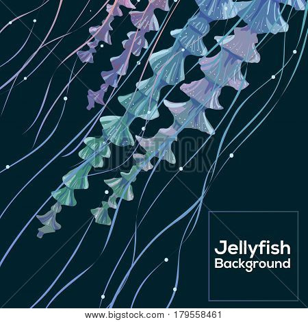 Background with detailed transparent jellyfish. Sea jelly on blue background. Useful for banners, broshures, covers. Vector illustration